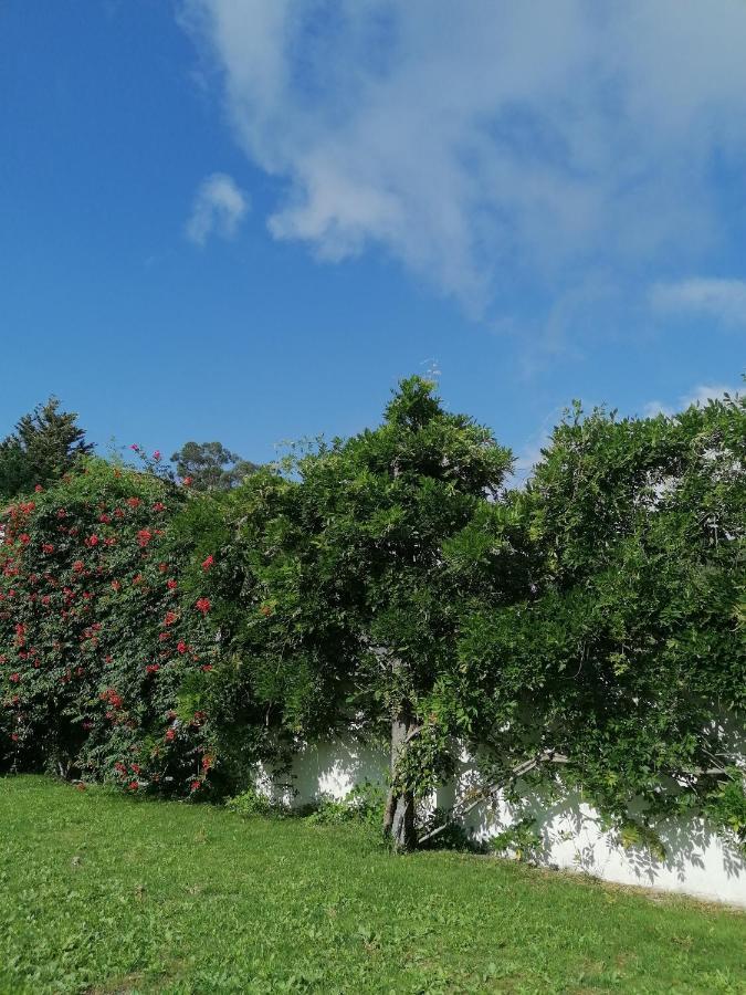 Casa Das Castanheiras Vieira do Minho Kültér fotó