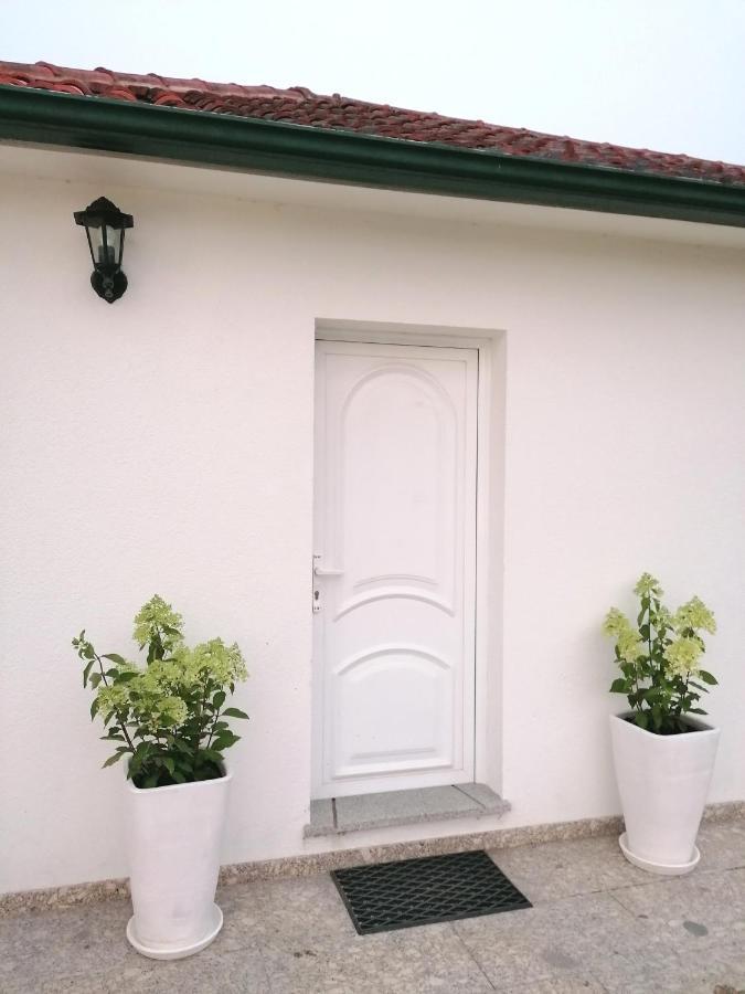 Casa Das Castanheiras Vieira do Minho Kültér fotó